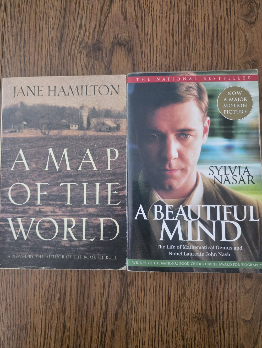 A Map of the World & A Beautiful Mind - 2 Book Bundle